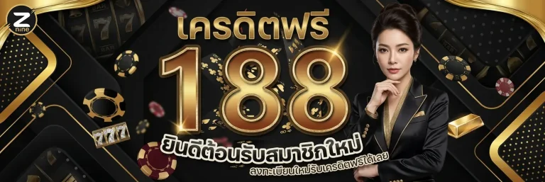 z nine ทางเข้า